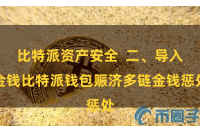 比特派资产安全 二、导入金钱比特派钱包赈济多链金钱惩处
