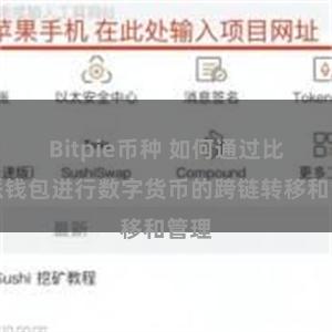 Bitpie币种 如何通过比特派钱包进行数字货币的跨链转移和管理