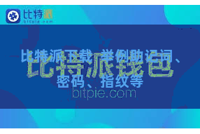 比特派下载  举例助记词、密码、指纹等