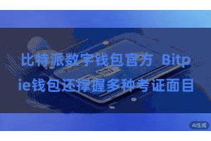 比特派数字钱包官方  Bitpie钱包还撑握多种考证面目