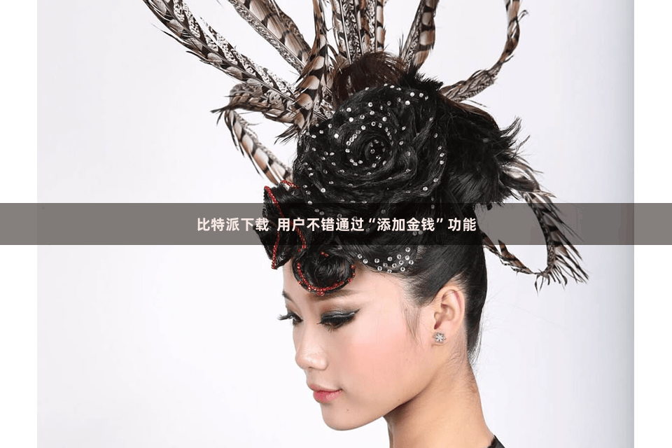 比特派下载  用户不错通过“添加金钱”功能